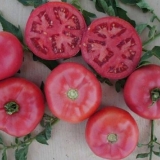 Paradajz ružičasto čudo f1: recenzije, fotografije, prinos